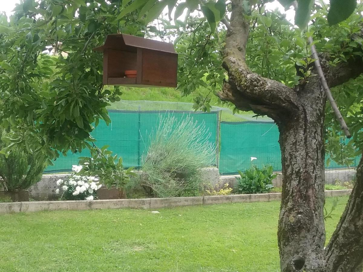 B&B Cuore San Daniele del Friuli Eksteriør bilde